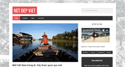 Desktop Screenshot of netdepviet.org